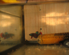 Betta imbellis m�le