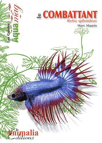 Betta Splendens Le combattant Betta Splendens Le combattant